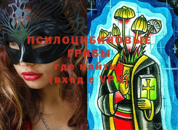 тгк Бронницы